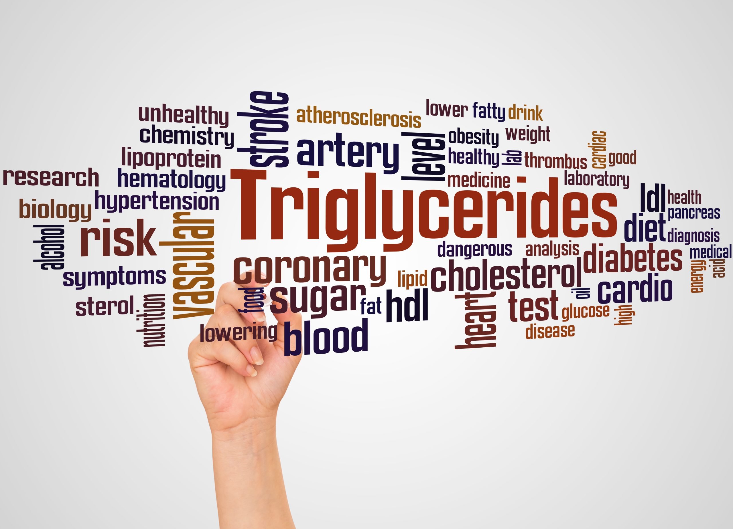 Heart Tests In Chandigarh